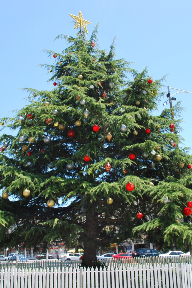 Красивая Новогодняя елка в жаркой стране