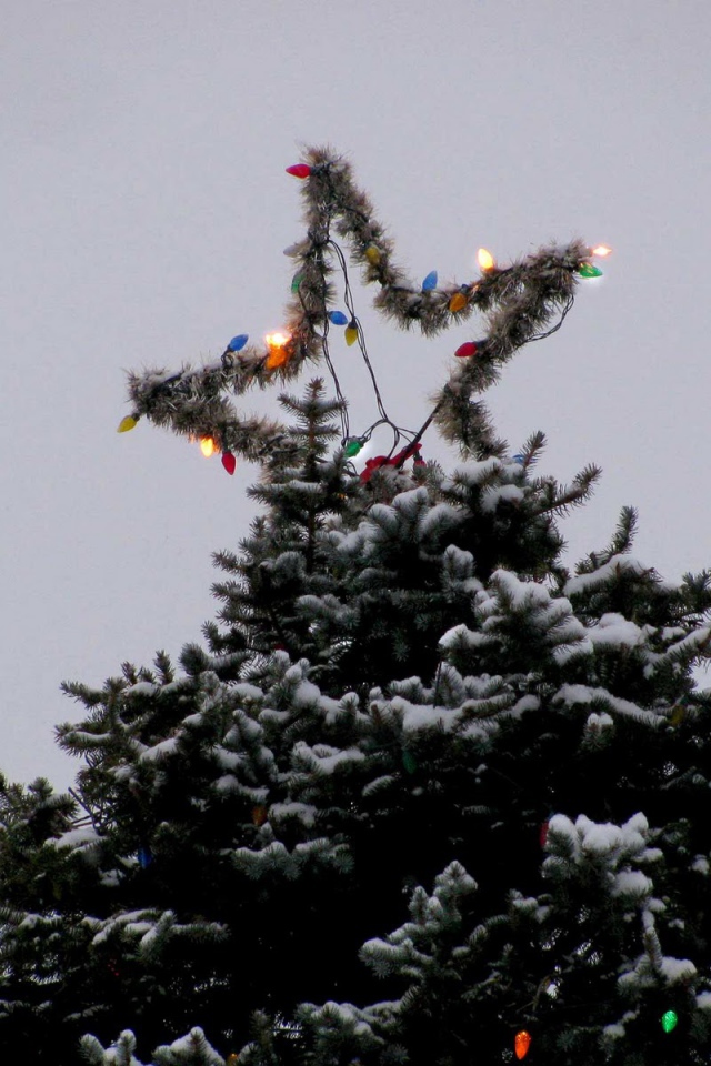 Звезда новогодней елки