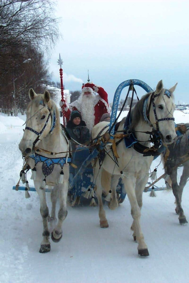 Pодина деда мороза