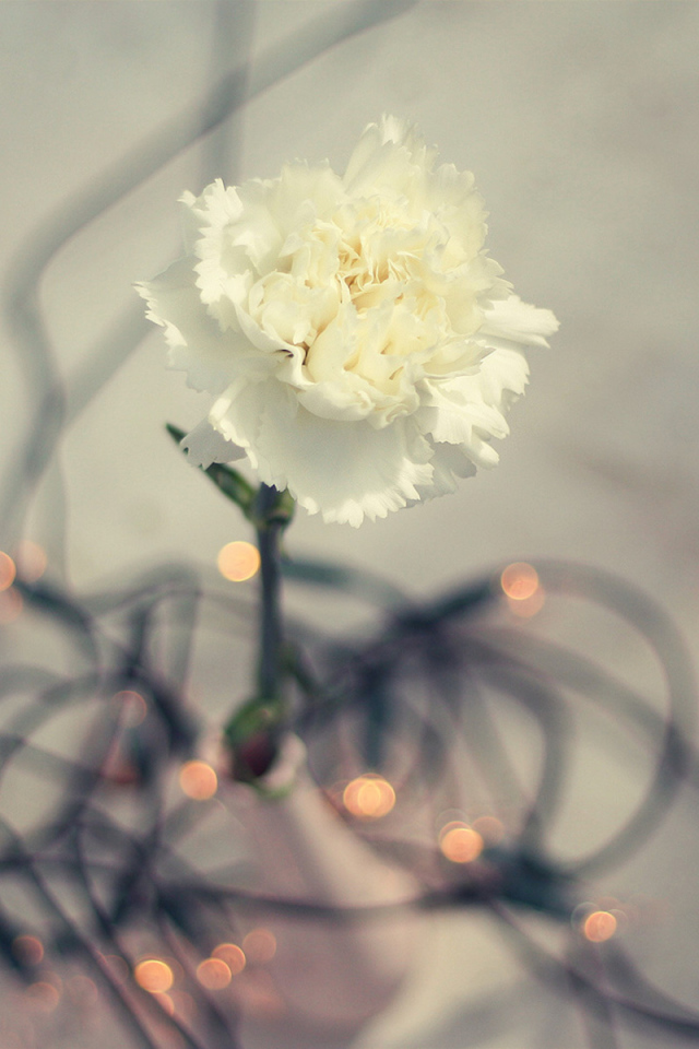 Цветок гирлянда