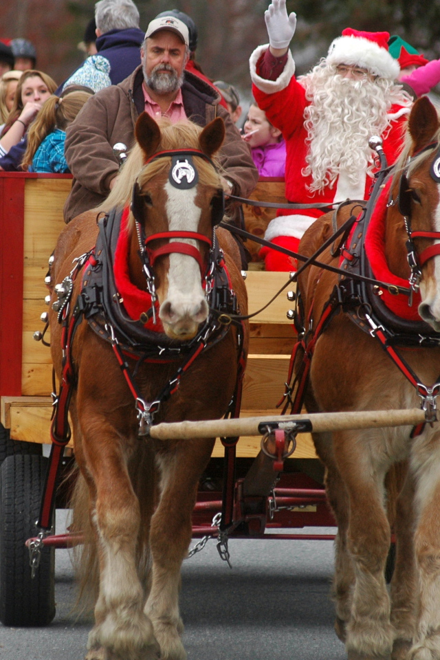 Дед мороз на лошади
