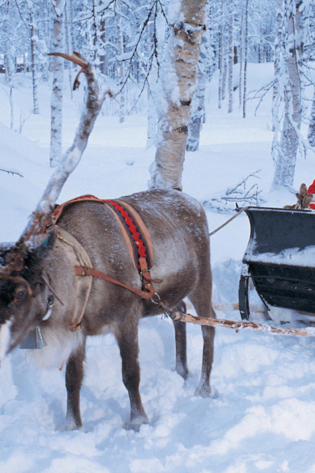 Дед мороз на санях