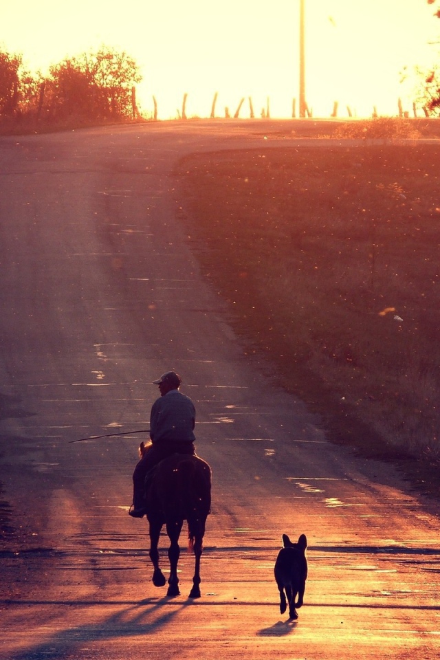 Всадник и собака на прогулке