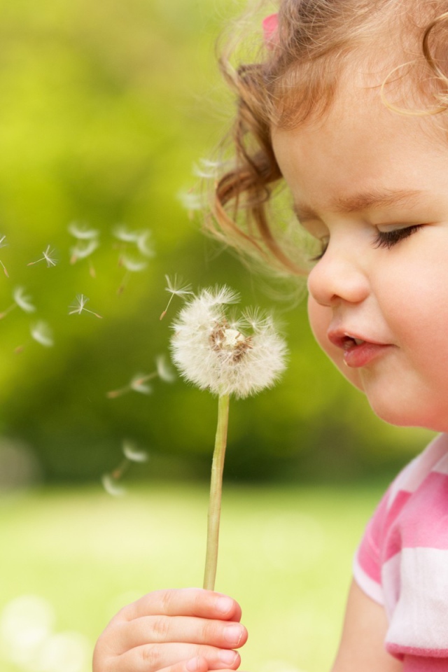 Ребенок дует на одуванчик