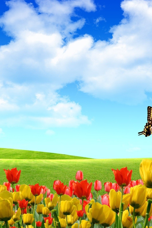 Абстрактные бабочки на тюльпанах