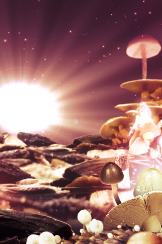 Фантазия из грибов