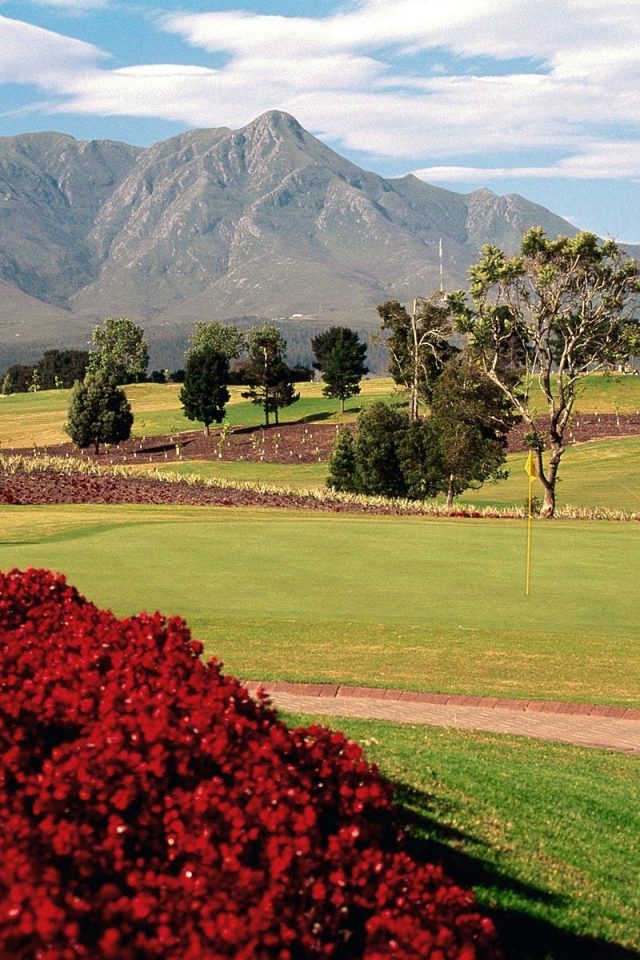 Поле для игры в Гольф