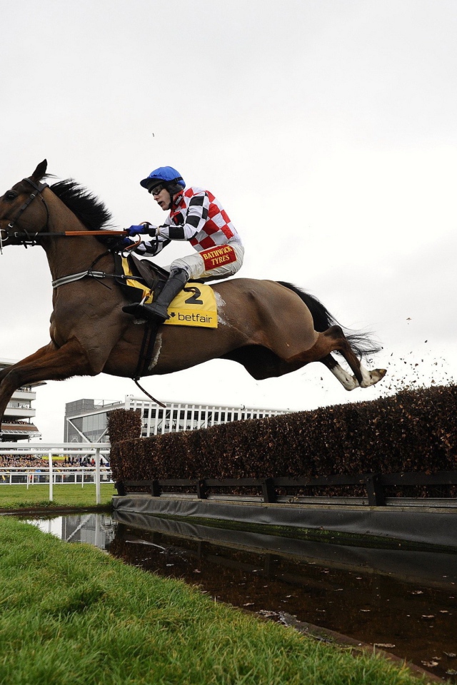 Лошадиные скачки