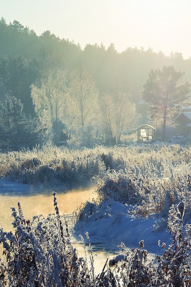 Frosty winter in the village