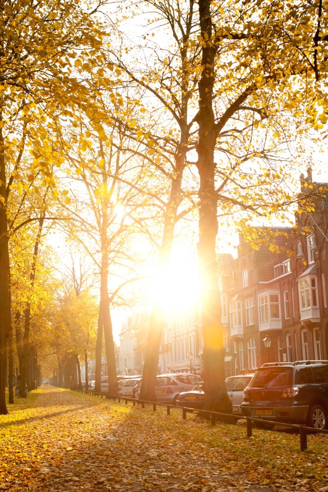 Осенний день в Утрехте