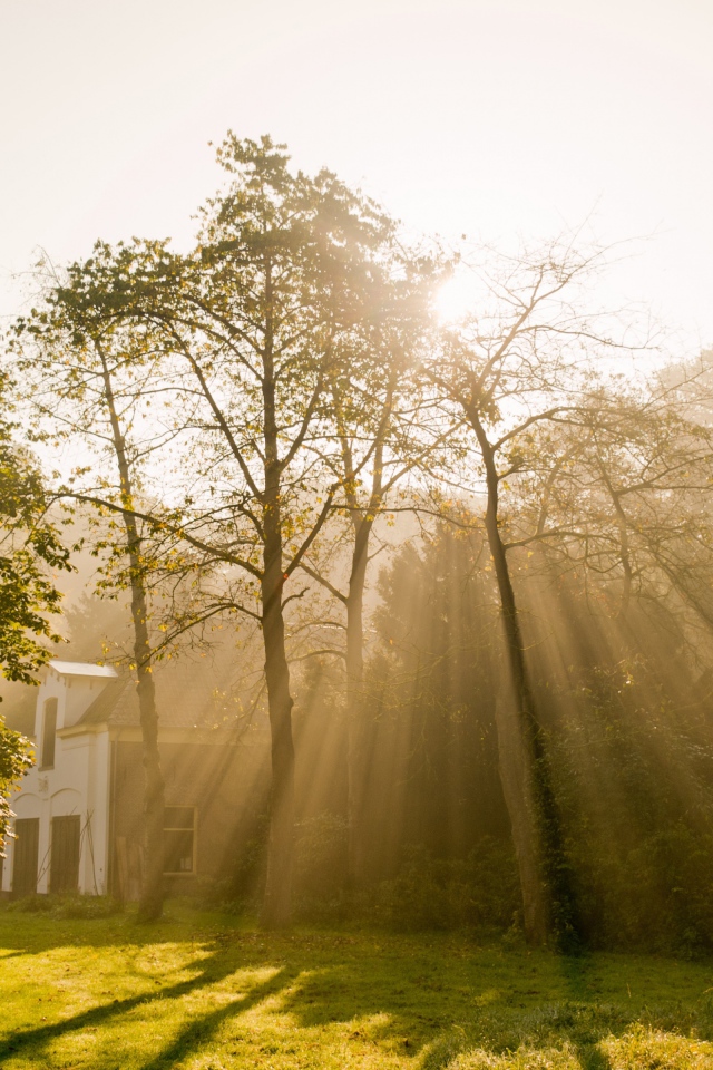 Солнце над Амстердамом
