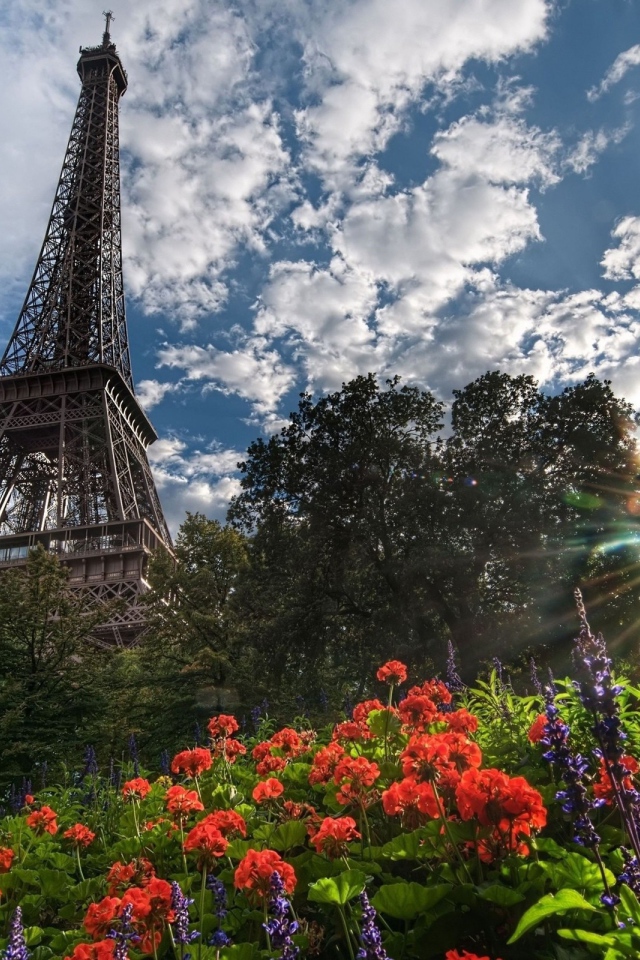 Башня и цветы в Париже
