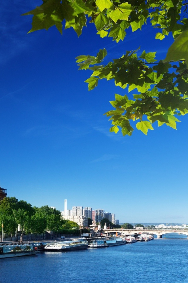 Эйфелева башня во Франции