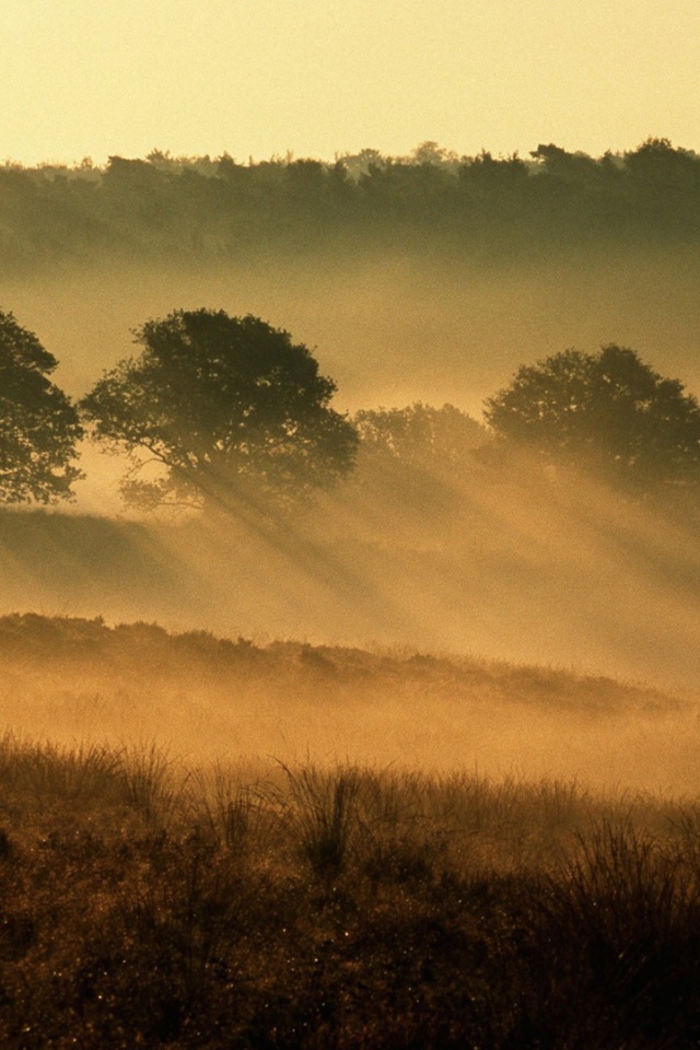 Национальный парк Нидерланды