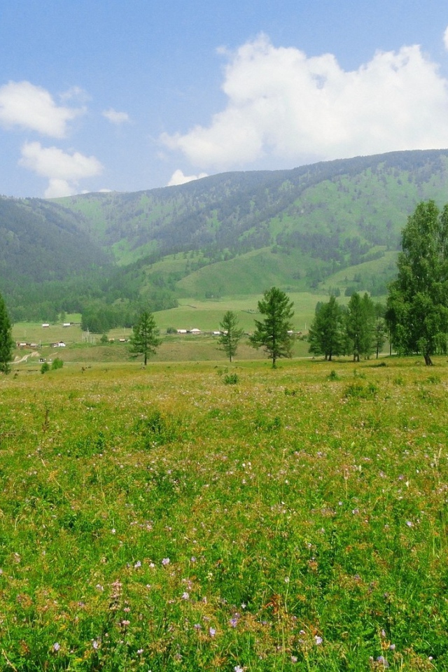 Российский пейзаж с холмами