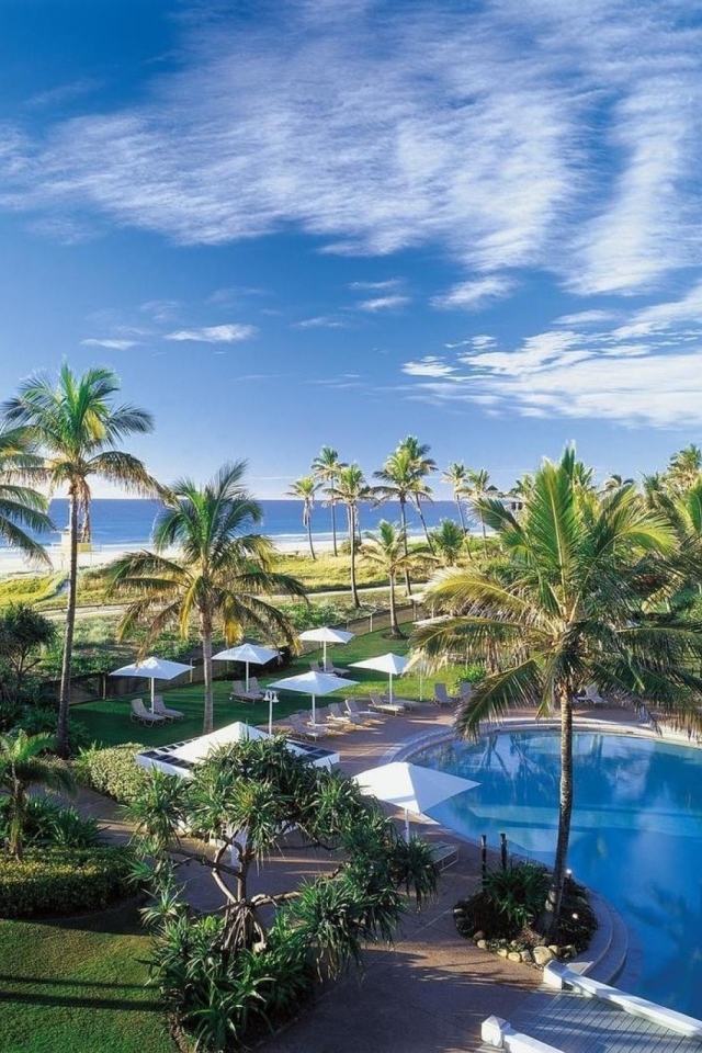 Отдых у моря под пальмами