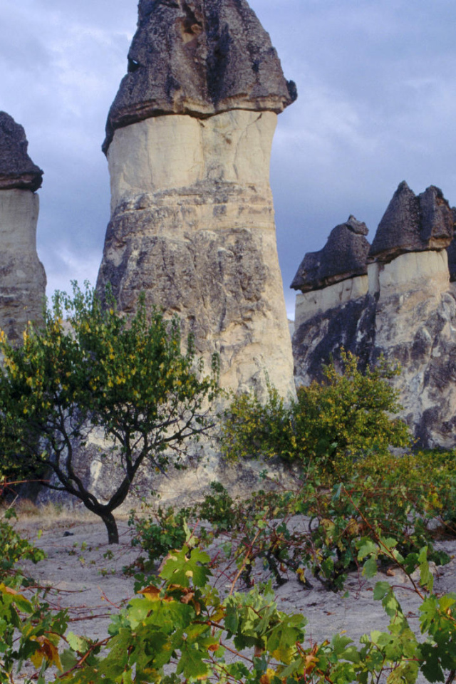 Волшебные дымоходы Турции с черными вершинами