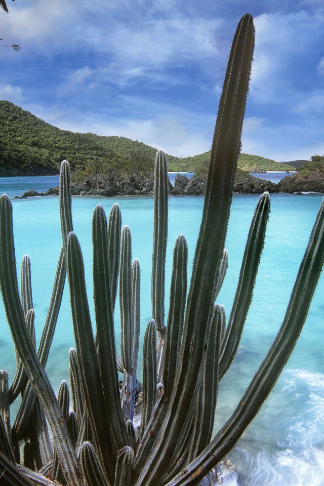 Национальный парк Вирджинии