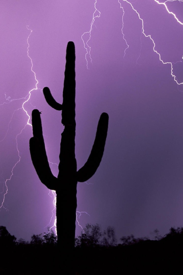 Гроза в Аризоне