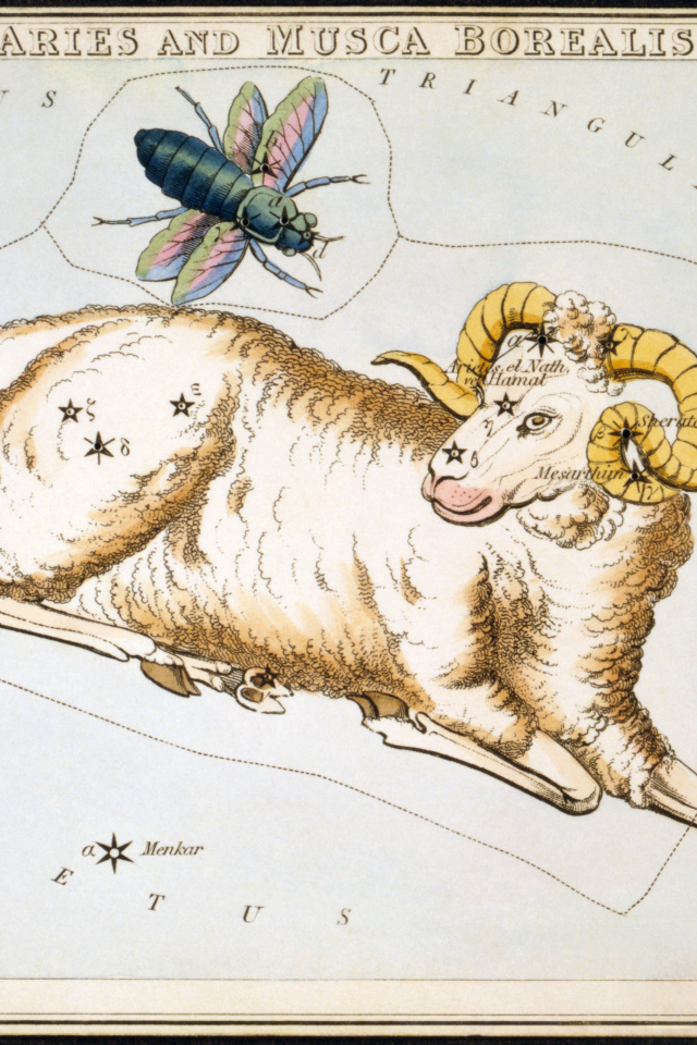 Овен на карте звёздного неба
