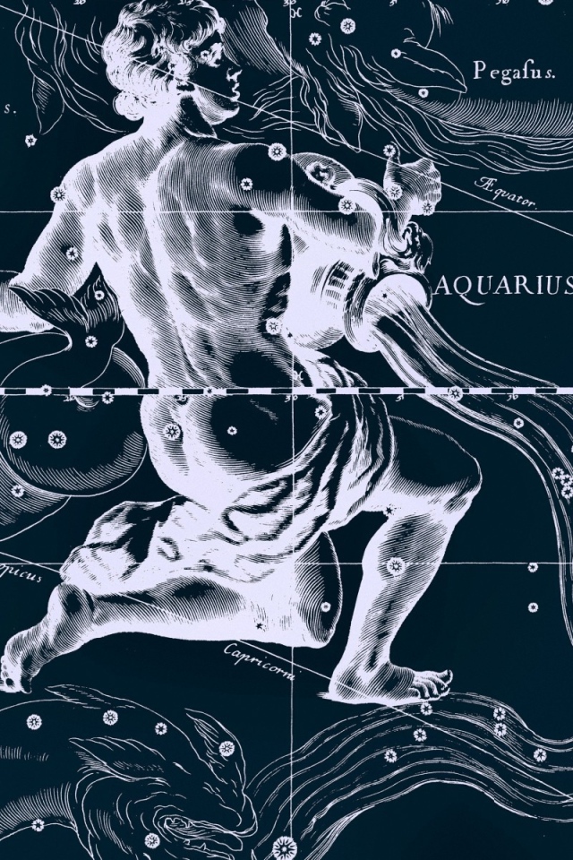 Карта звездного неба, водолей