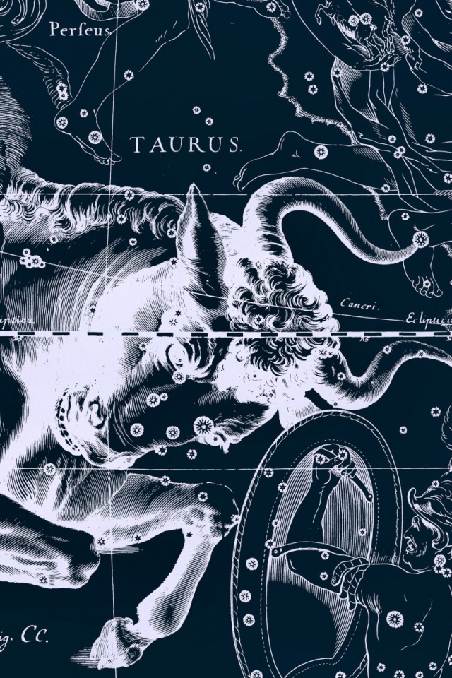Карта звездного неба, телец