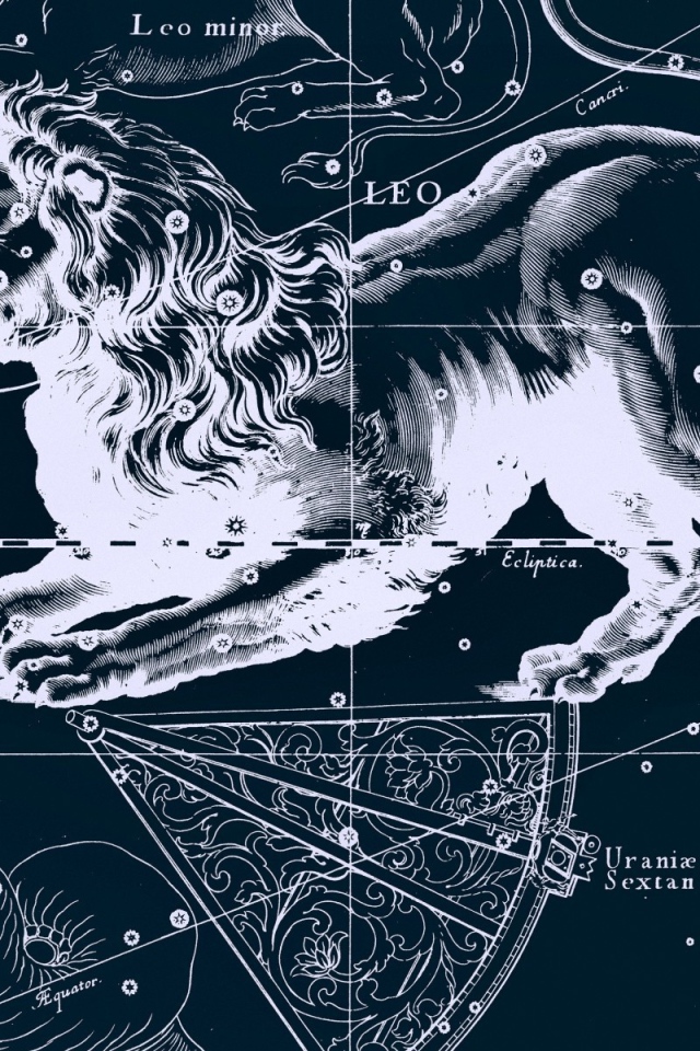 Карта звездного неба, лев