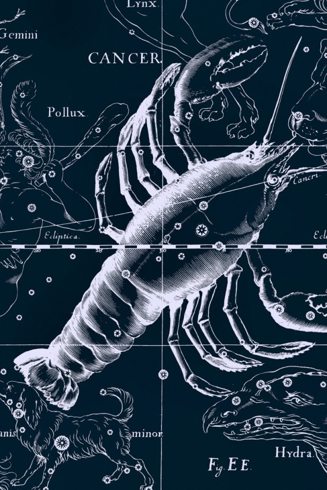 Карта звездного неба, рак