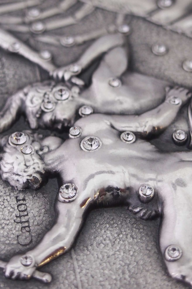 Близнецы на монете