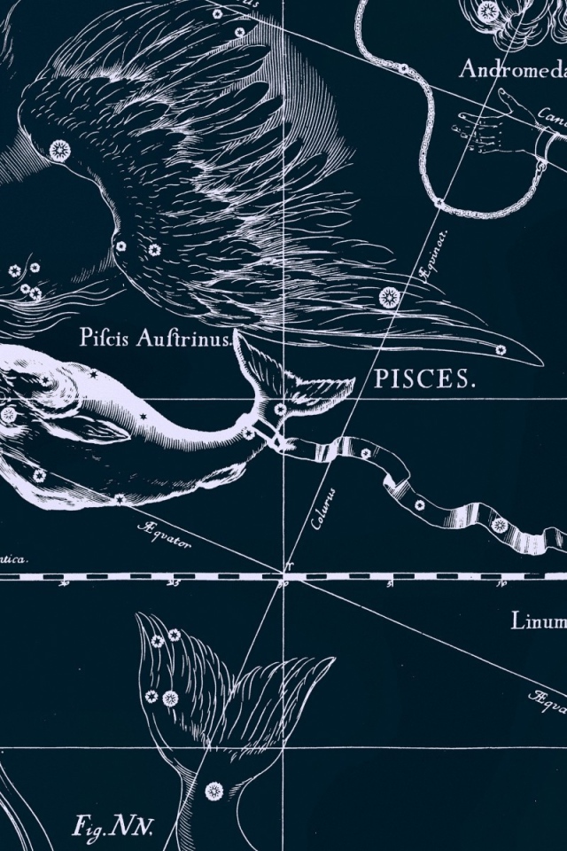 Карта звездного неба, рыбы