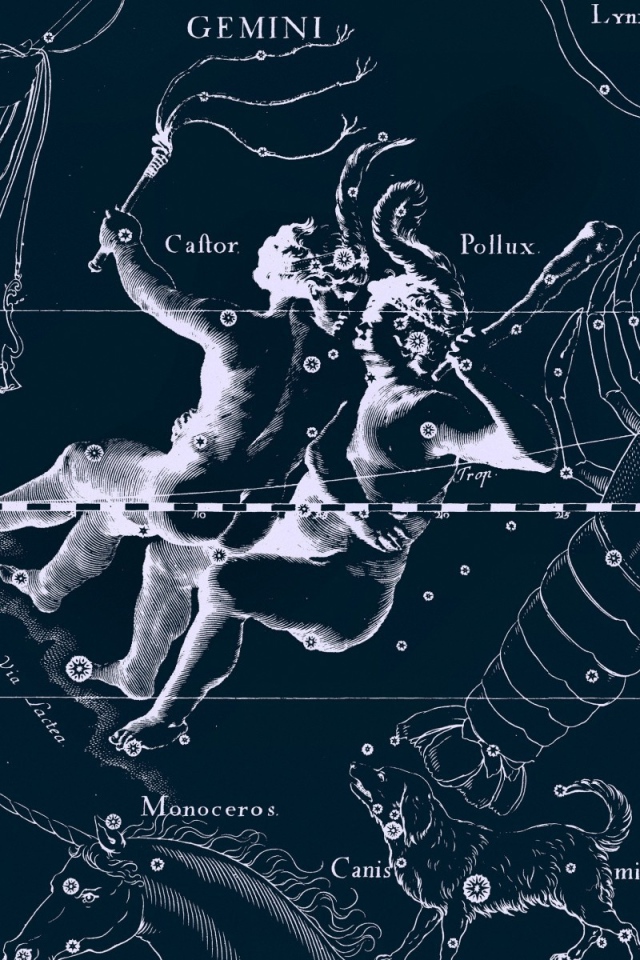 Карта звездного неба, близнецы