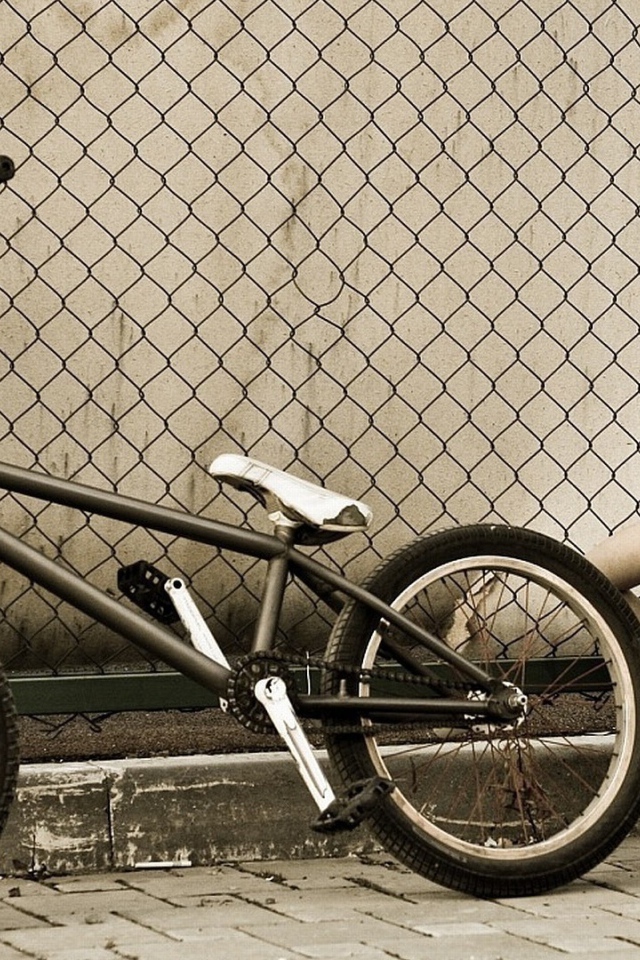 Спортивная девушка с велосипедом