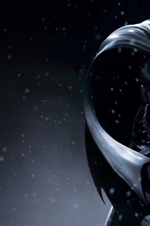 Batman: Arkham Origins The Бэтмен