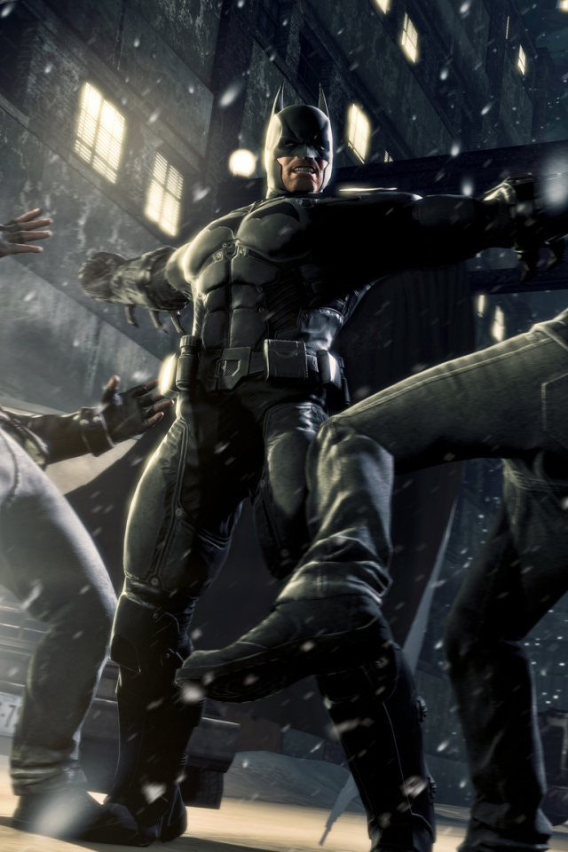 Batman: Arkham Origins в действии