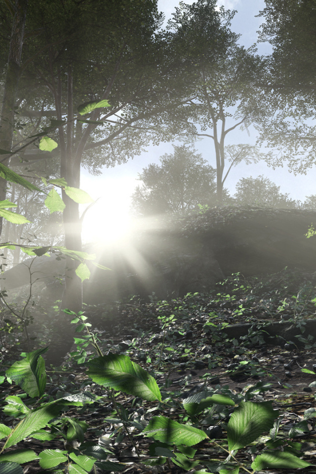 Battlefield 4 солдат в лесу