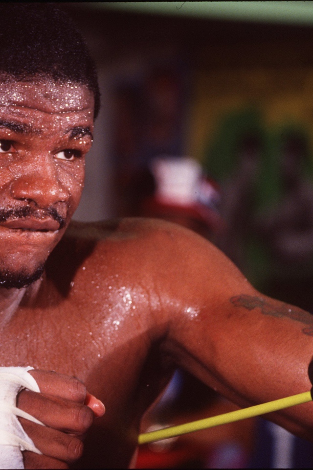 Боксер Риддик Боу