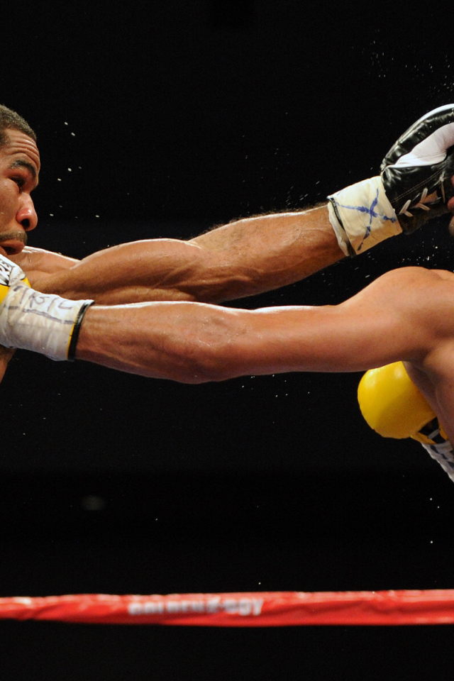 Boxer Riddick Bowe crushing blow
