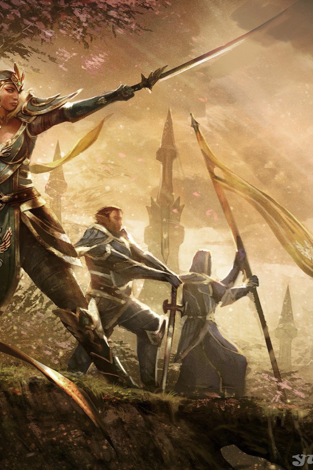 Elder Scrolls Online: эльфы собираются в бой