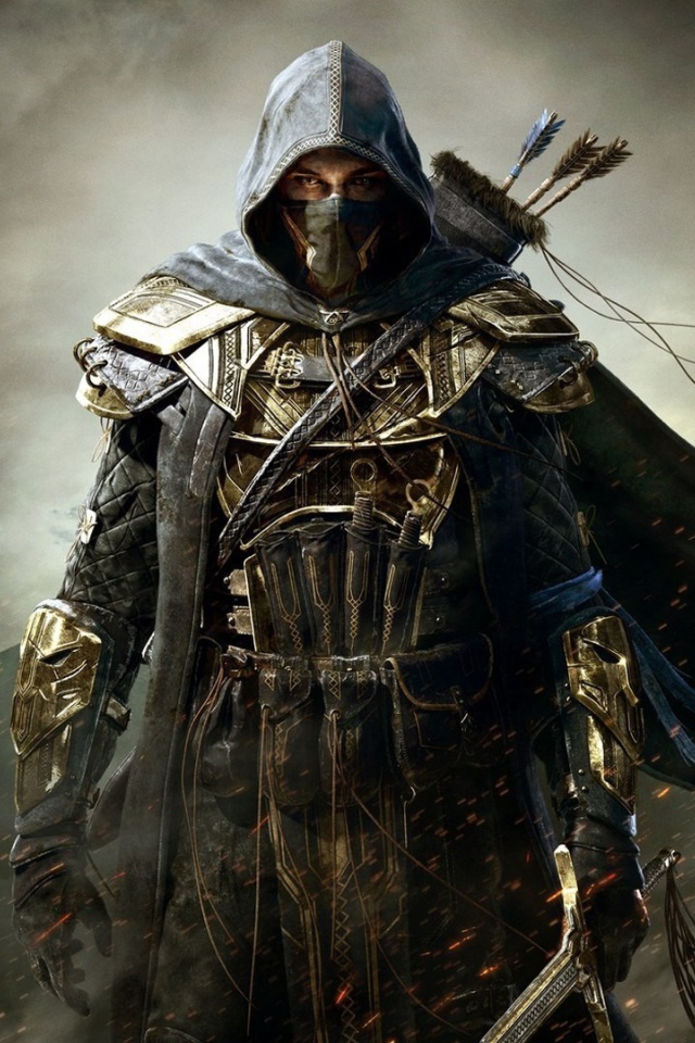 Elder Scrolls Online: убийцы с луком