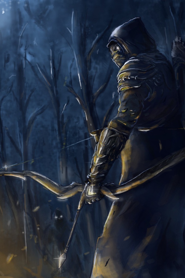 Elder Scrolls Online: the archer