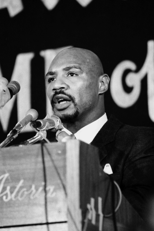 Знаменитый боксер Томас Хернс