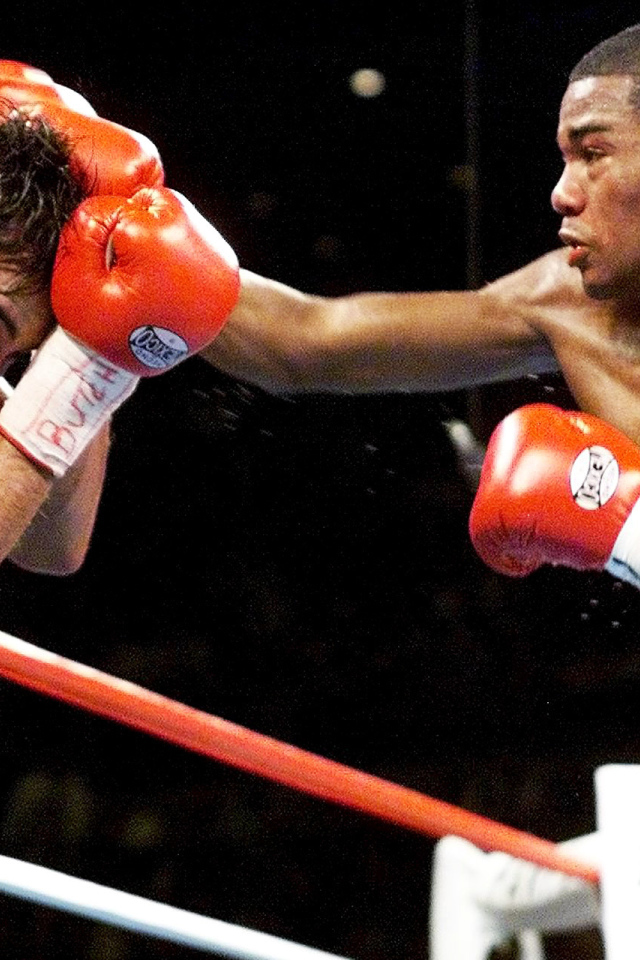 Феликс Тринидад против Пуэрто-Рико