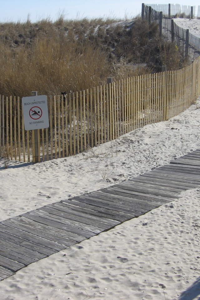 Найди кота в дюнах