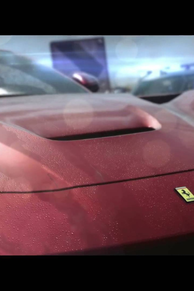 Need for Speed Rivals: яркие огни