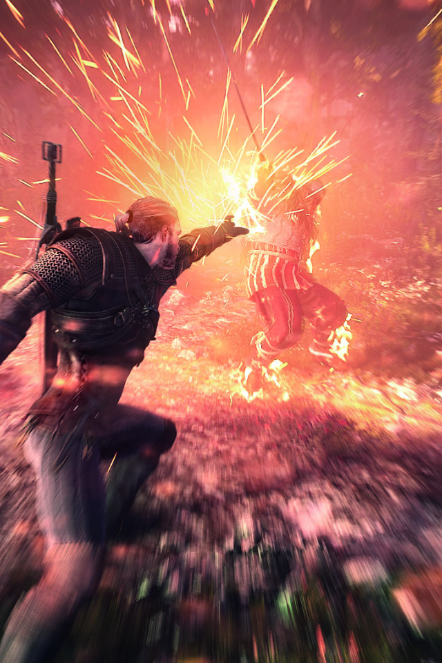 The Witcher 3: Wild Hunt: магия