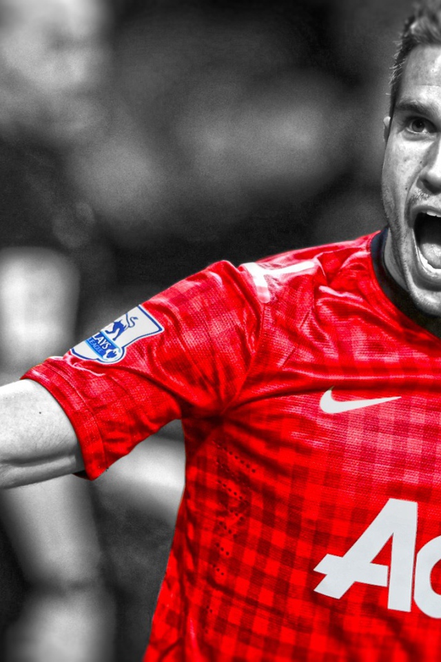 Нападавший Манчестер Юнайтед Робин ван Перси торжествует победу