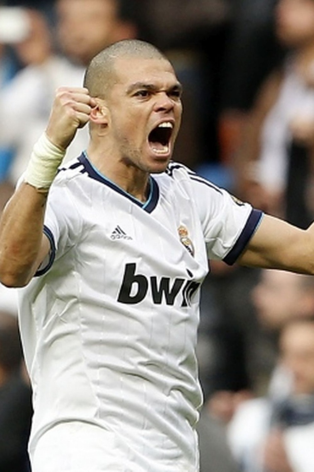 The best defender of Real Madrid Pepe