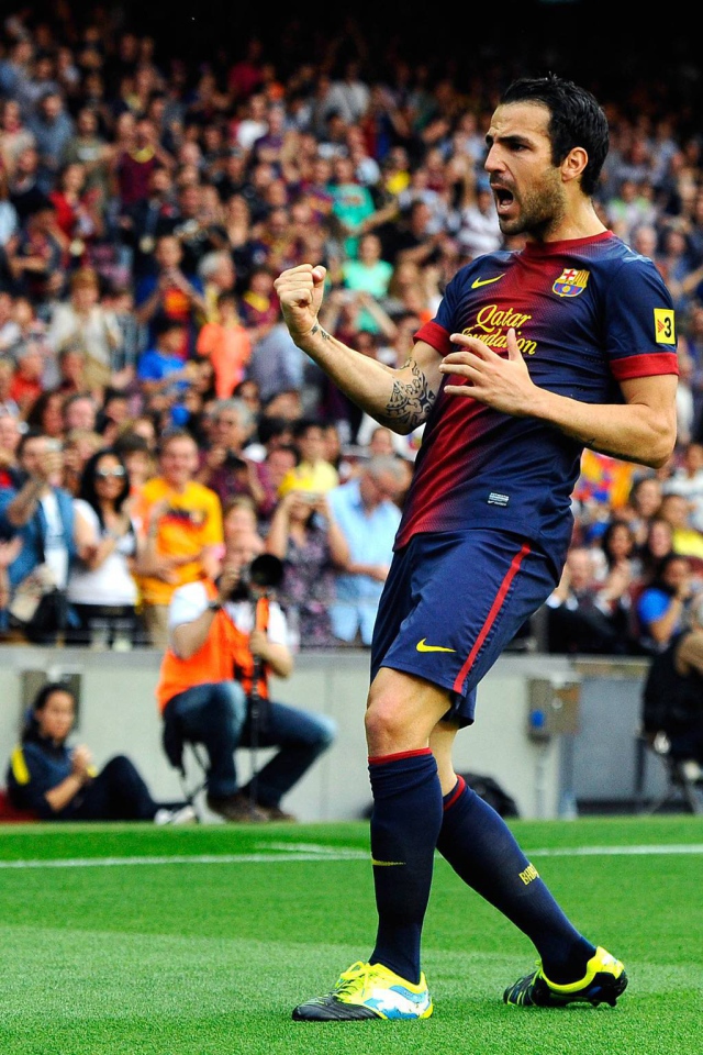 Полузащитник Барселоны Франсеск Фабрегас забил гол