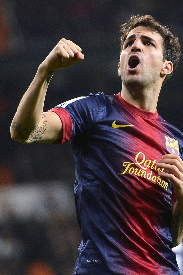 Полузащитник Барселоны Франсеск Фабрегас выиграл игру