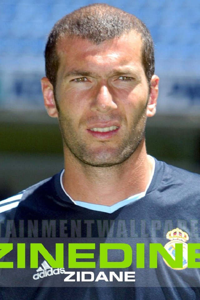 Легенда футбола Зинедин Зидан под солнцем